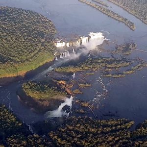 Yacutinga – Iguazú