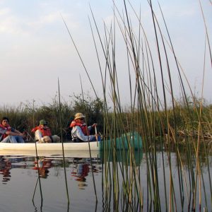 Esteros del Iberá