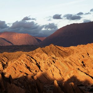 CAFAYATE - MOLINOS