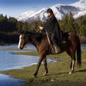 Estancias in the Patagonian steppe