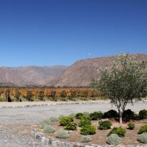 Salta – Cafayate