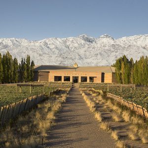 Mendoza Wine Region