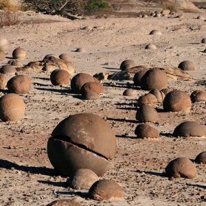 EL CHILFON – ISCHIGUALASTO – BARREAL