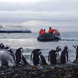 Cruceros Australis