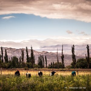 CACHI – SALTA