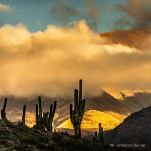 QUEBRADA DE HUMAHUACA & HORNOCAL